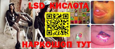 шишки Партизанск