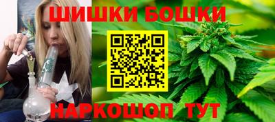 шишки Партизанск
