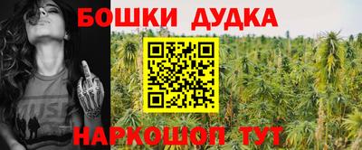 СК Пенза