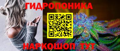 шишки Партизанск