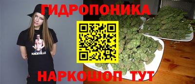 СК Пенза